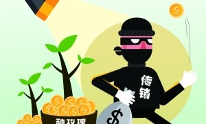 小心“偷菜”类游戏中的传销骗局(图文)